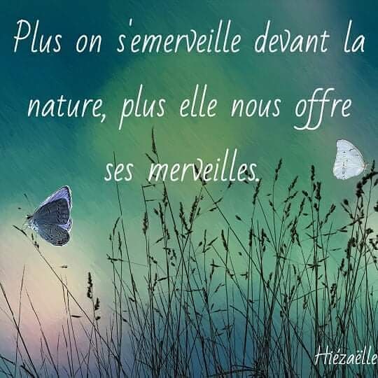 Alexandra Elieza Citation Inspiree Et Inspirante Phraseoftheday Conscienceeteveil Etresoimeme Hiezaelle Citationdujour Respect Citationinconnue Citationnature Esprit Individualite Citationinspiree Meditation Inspiration