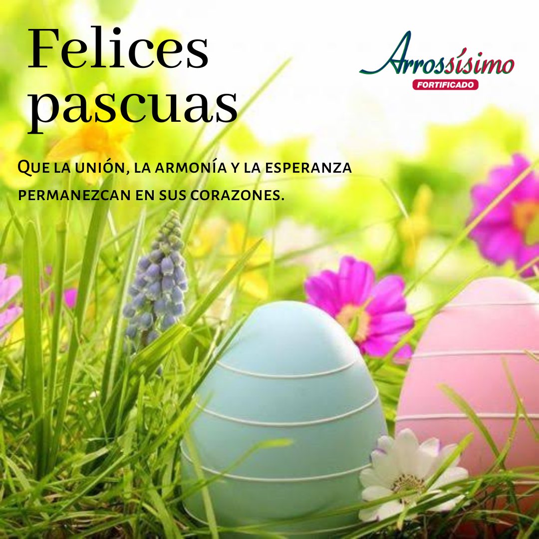 Arroz Arrossísimo tweet media