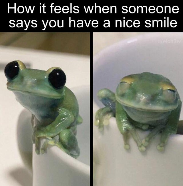 WholesomeMemes (@wholesomememe) on Twitter photo 