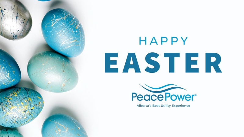 PeacePower's tweet image. Happy Easter from all of us at #PeacePower 🐣
