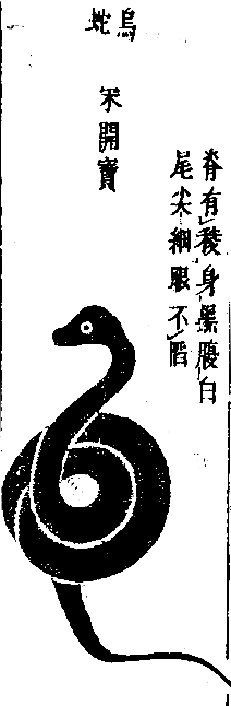本草図翼に出て来る絵がチョット針聞とかのフォルムに似てるってのはこういうのね。(本草図翼の烏蛇) 