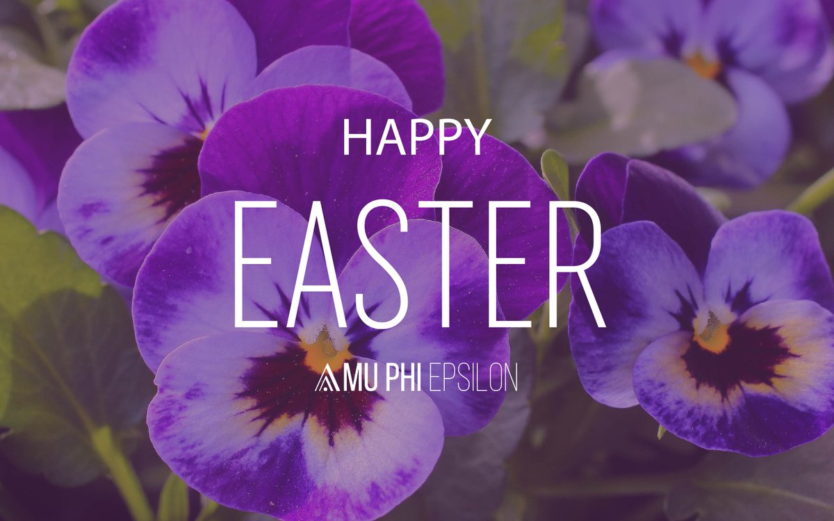 muphiepsilon's tweet image. Happy Easter to all of our Members who celebrate! 💜