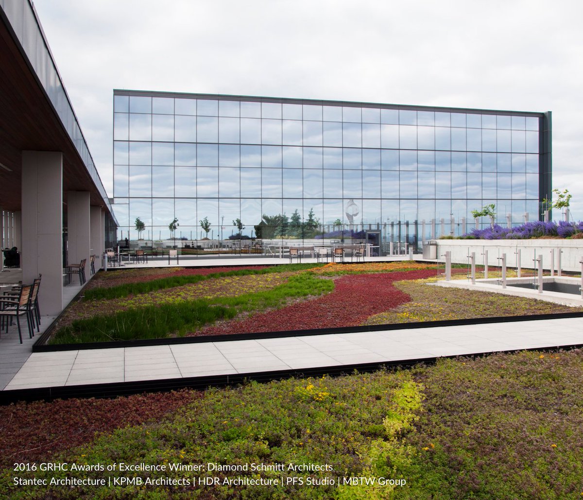 Did you know Toronto was the first city in North America to adopt a green roof bylaw? Now, there are over 700 green roofs in the city! Learn how to design and advocate for green roof policy by enrolling in our Green Infrastructure Policy course!  greenroofs.org/virtualevents/…