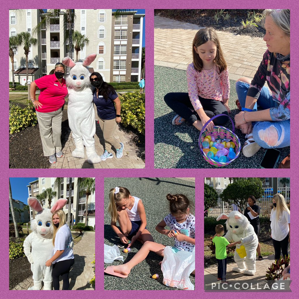 Lisa Jenkins tweet media