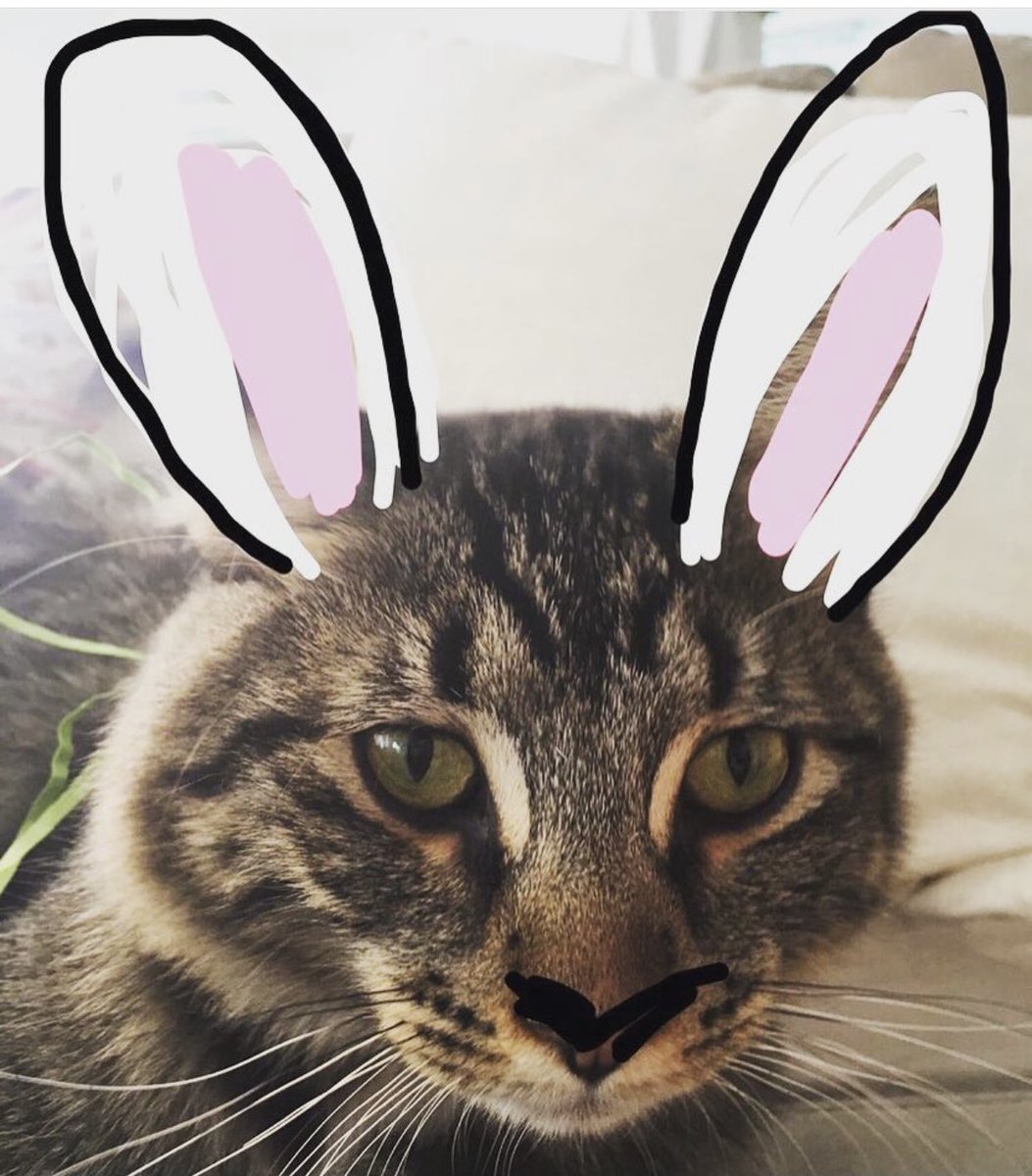 Yvonne Phillips tweet media