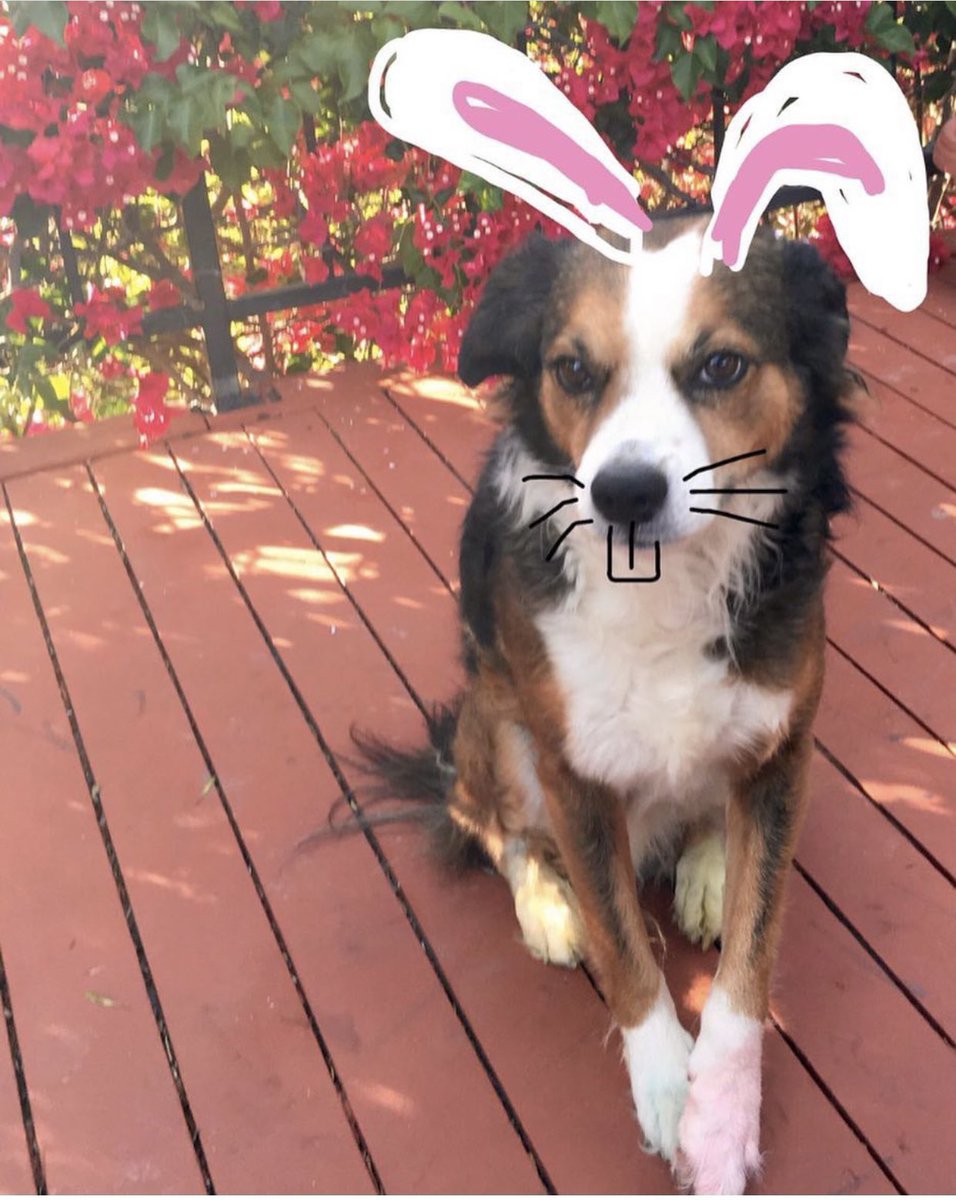 Yvonne Phillips tweet media