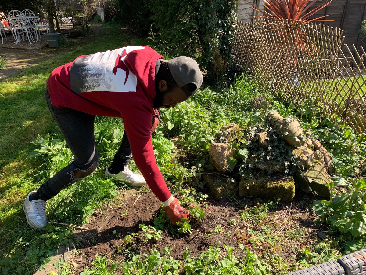 NjubeGiant's tweet photo. It’s that kinda day. Sun is out. Mower out. Sorting the garden before my Talk show #ThePathLessTravelled and watching Manchester United wallop Brighton.
How’s been your Sunday? https://t.co/aGSqLauOQl