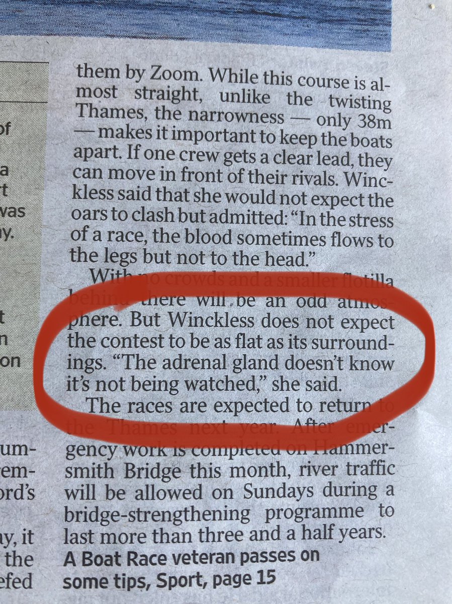 drminkster's tweet photo. Take from an article about a spectator-less boat race. When activated via the hypothalamus and pituitary, the adrenal gland really does know it’s being watched. #HPA #SocialEvaluation Competition Stress& Cortisol Awakening Response in Elite Rowers https://t.co/yf1saUlffE https://t.co/w5UFwzEH1W