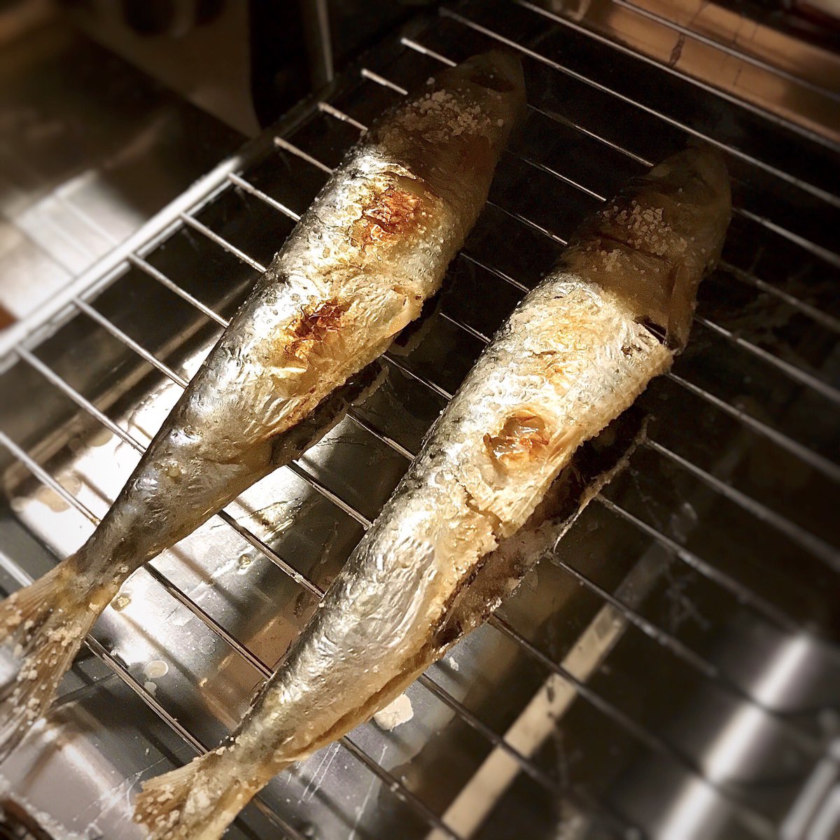 アジの塩焼き アジの塩焼き