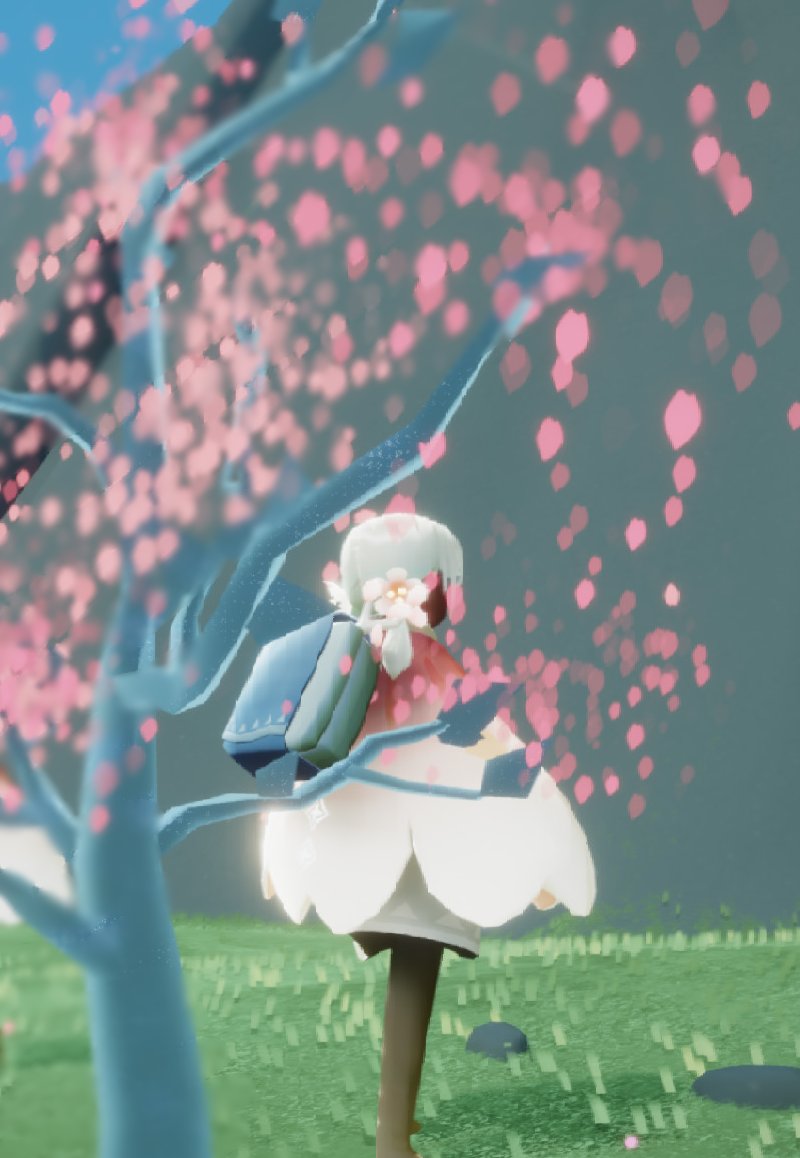 sky_hn4's tweet photo. ๐ธ ๅงๅฆน ๐ธ
#SkyChildrenOfTheLight #SkyDaysofbloom #Sky่ฑ็ฌใ #skyๆใ็ดกใๅญใฉใใใก #thatskygame https://t.co/X0V5aTb3dO