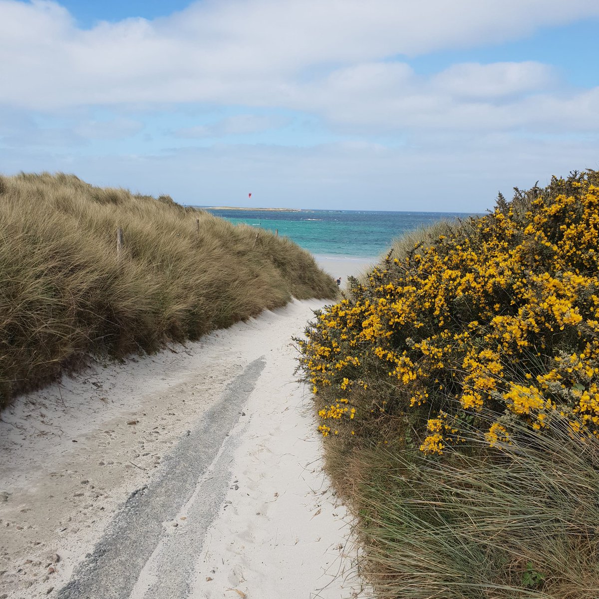 morganeriou3's tweet photo. Bretagne #evasion https://t.co/eJrOJHu8GE