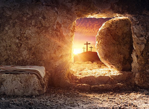 Christ the Lord is Risen today, Hallelujah! #HeIsRisen Happy Easter!

He is not here, for he has risen, as he said. Come, see the place where he lay. (Matthew 28:6)