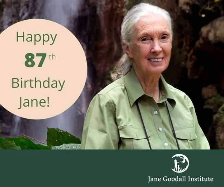 Happy 87th birthday Jane Goodall. 