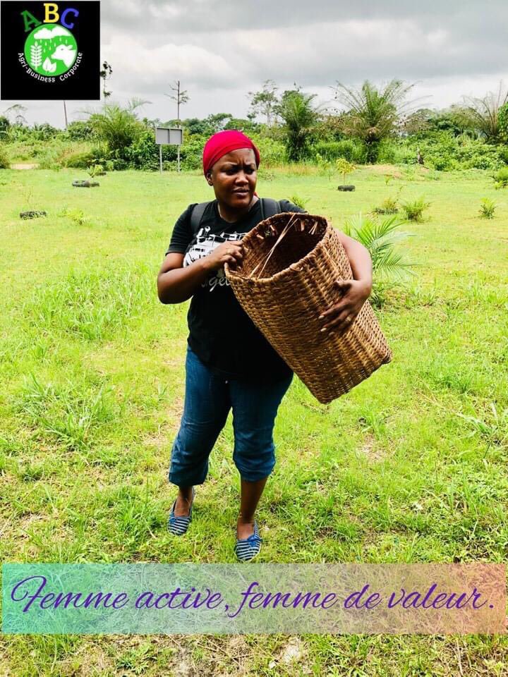 EdmondOgowe's tweet photo. Une journée de plus à BOLOKOBOUÉ. 
https://t.co/3vmISFR9hE
#abcscoop
#FAO
#idrc
#fao https://t.co/zNgLPv4JC0