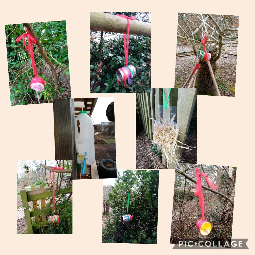 🐦Bucket-loads of bird feeders! Well done to the reception classes at Stokehill Infant & Nursery School, who made some great snacks for the birds! Each of these bird feeders was made using recycled materials from @Scrapstorexeter. Great job!

📷DWT supporter Natalie Smith