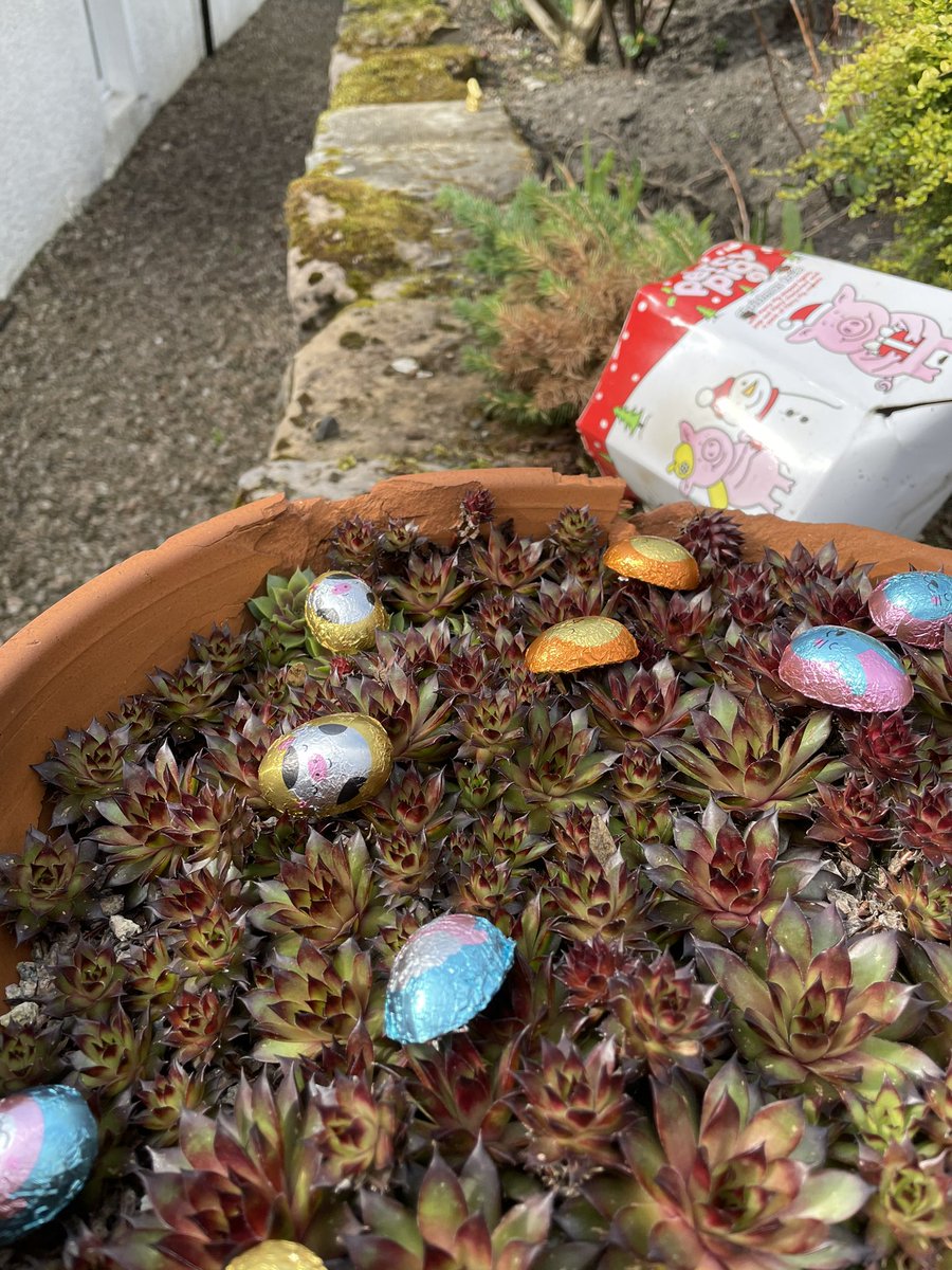 Stirlingcouk's tweet photo. #HappyEaster #Stirling. The Easter Bunny has been good to us this year. #StirlingLovesLocal  #ThinkLocalFirst https://t.co/U4xNCg4vh1
