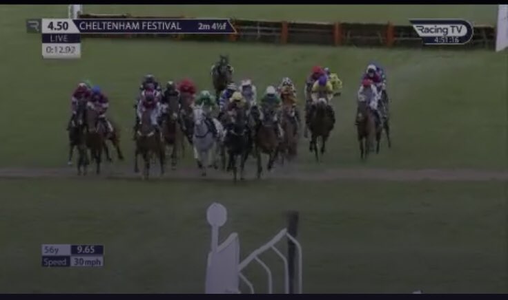 Aidan O'Brien tweet media