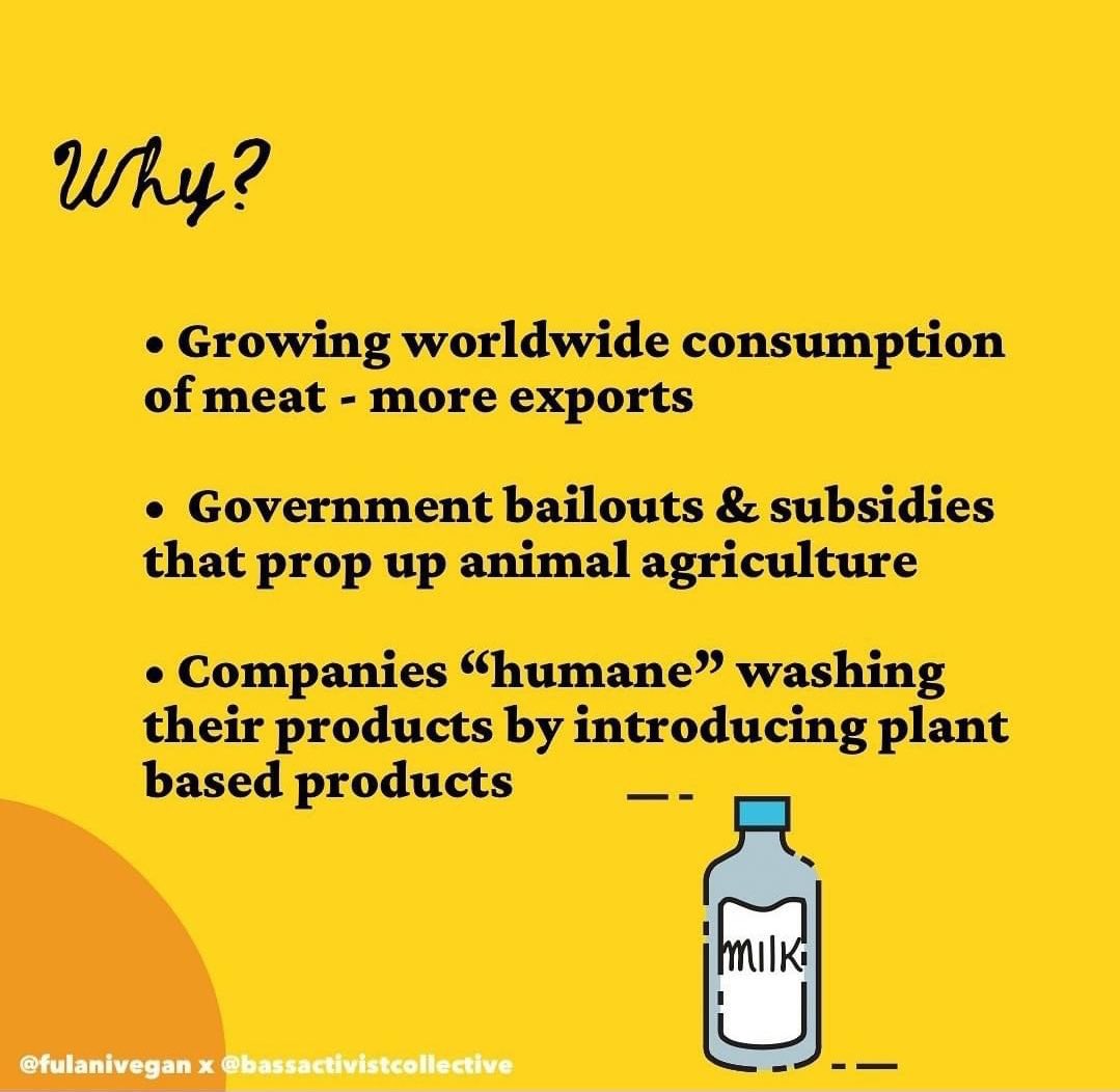 For ages I clung to the idea of “You save [this many] animals by being vegan” but changes in consumption do not automatically =/= lives spared. 

The food system is rigged: animal ag is bailed out with taxpayer’s money if there are losses, the mere act of boycotting is not enough