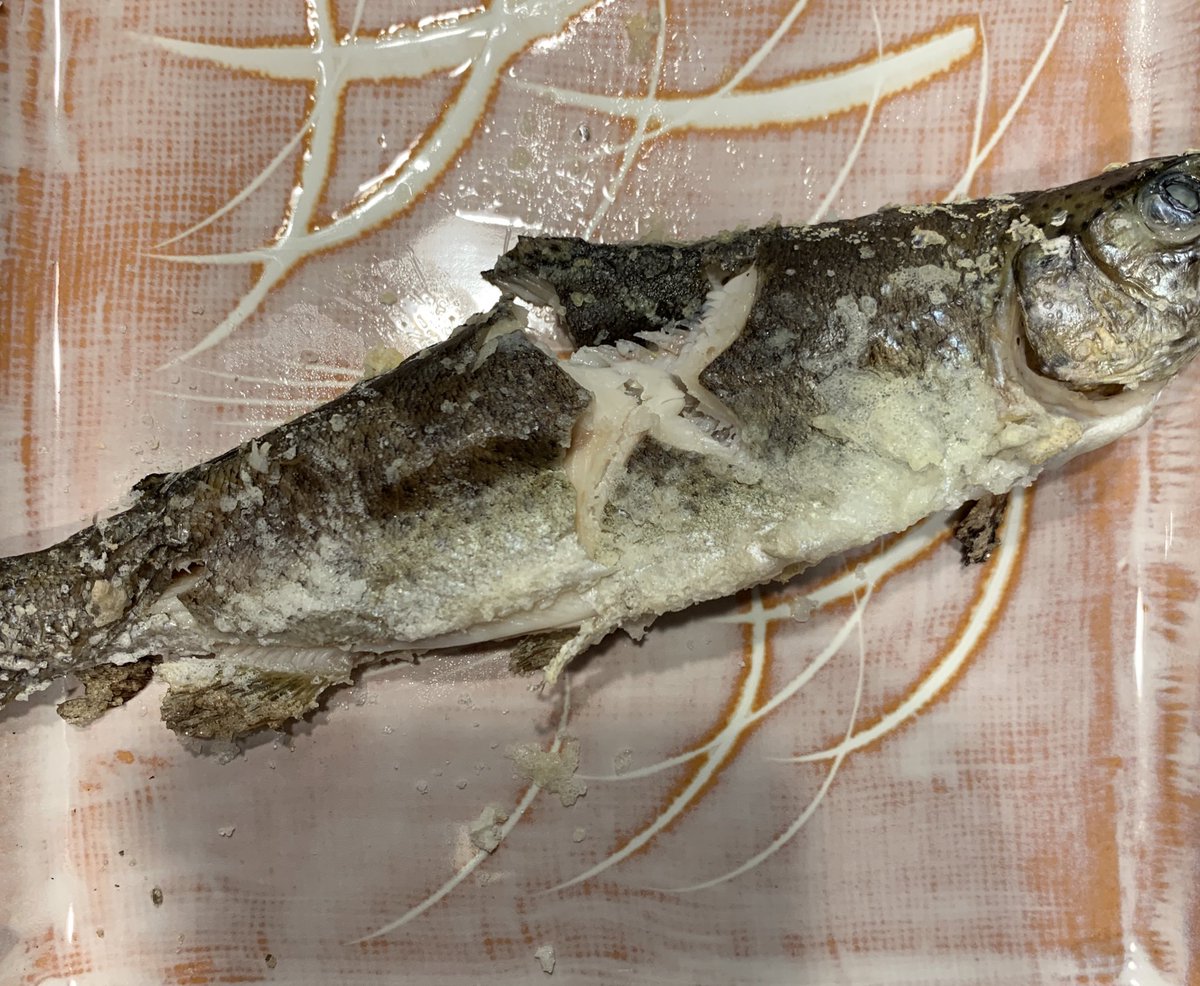 ねぎ 湾岸に住んでます 釣った虹鱒 時間が過ぎててソレイユの丘での串焼きはできず 家で鱗とって 内臓とって塩焼きに これはこれでいい経験 ねぎ 湾岸に住んでます 釣った虹鱒 時間が過ぎててソレイユの丘での串焼きはできず 家で鱗とって 内臓とって塩焼きに これはこれでいい経験