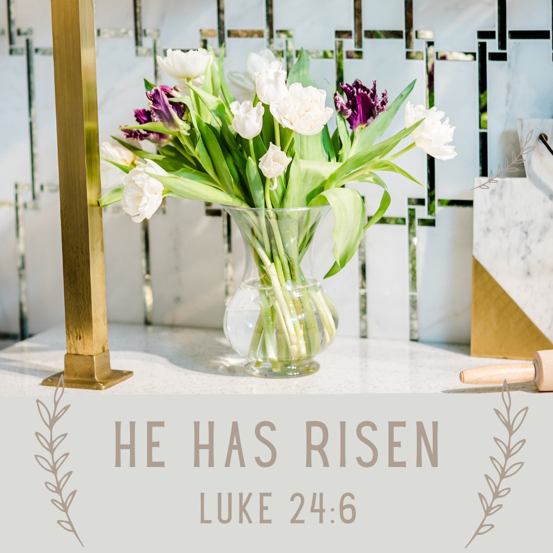 DaltonCarpetOne's tweet photo. He is not here, He has risen! Luke 24: 6  We hope everyone has a restful Easter. There is good news today and everyday because Jesus died for us!

#daltoncarpetone #happyeaster #goodnews https://t.co/EkYS469SqW