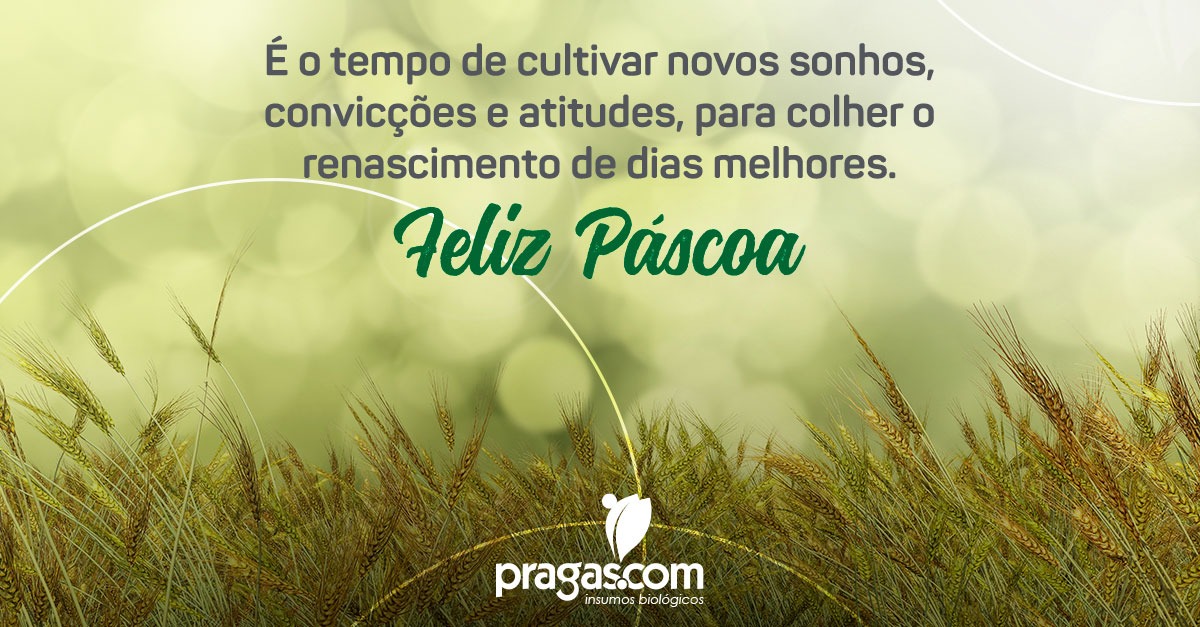 👉Que não deixemos de lado o cultivo de novos sonhos, a esperança e a busca pelo renascimento dos dias melhores. Eles virão! 

Para todos, uma excelente Páscoa! 😍