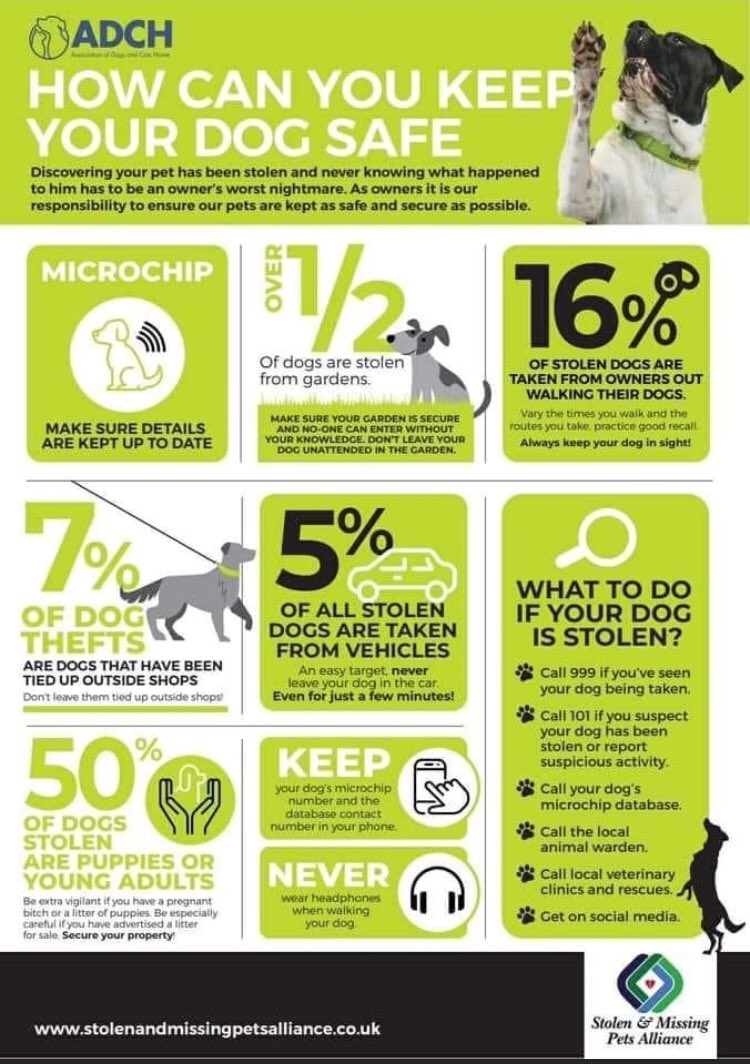 DogCapture's tweet image. How to turn a bad experience into a positive action 👏👏👏👏👏