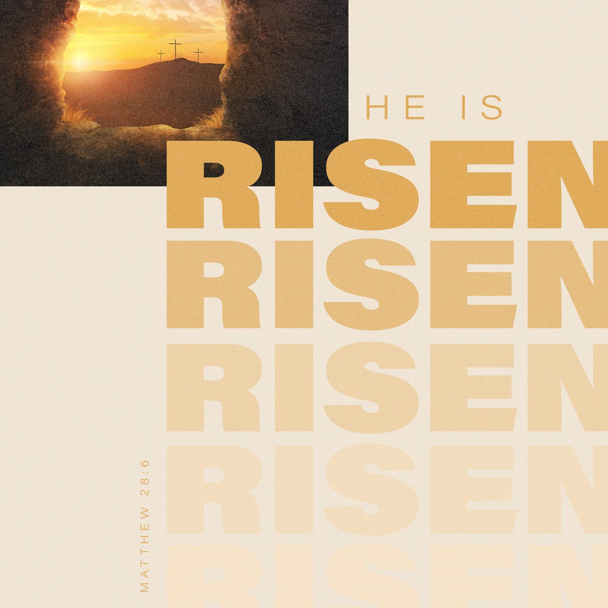 RubyTBBQ's tweet image. He is not here; he has risen, just as he said. Come and see the place where he lay.
Matthew 28:6 NIV

bible.com/verse-of-the-d…