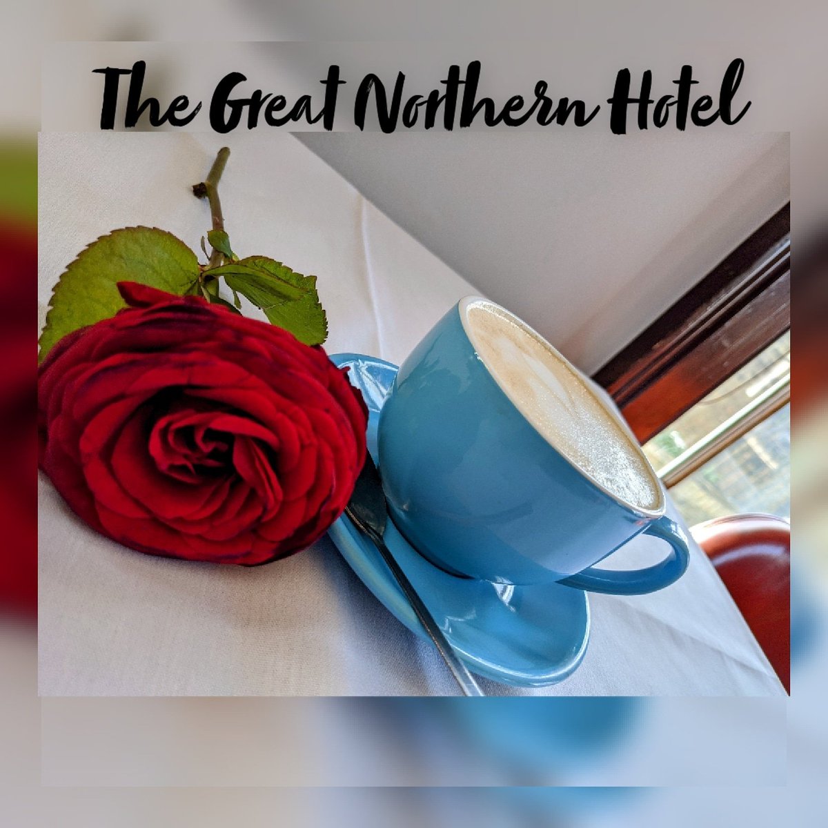 All you need is Love &amp; Coffee ☕
Only 8 days to go!
Which Coffee will you order first?
~Espresso
~Americano
~Cappucino
~Latte
~Macchiato
~Mocha
~Flat White
Or are you more of a tea lover?
We've got you all covered!!
Love,
The Great Northern Team♥️
