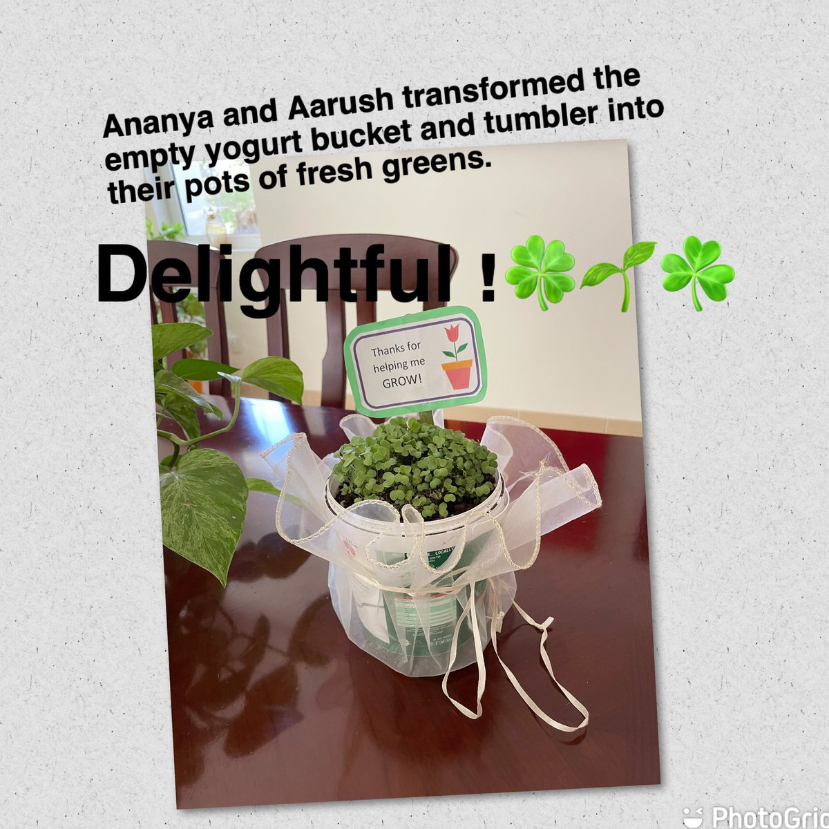 Shalini1205's tweet photo. โBloom where you are planted.โ What a beautiful way to engage! Thank you @Knargish @sustainablegma #plantyourherbs #freshandgreen #simplejoys #springishere #springbreak @ananyadangra and Aarush loved their Spring Break engagement #SpringBreakChallenge @GMA_Primary @DXBmodern https://t.co/6umJysTGbf
