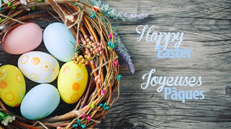JSavage_Levac's tweet photo. 🐣🐰💐 https://t.co/RUQBhfCu7U