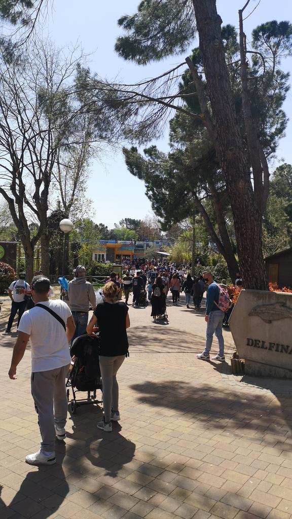BlooDer84's tweet photo. Lamentable lo que estoy viviendo hoy en el zoo de Madrid, 0 distancias, aglomeraciones, aforo 30% ni de broma, 0 limpieza, 0 control, así no @parquesreunidos @zoomadrid #cuartaola https://t.co/ImqHkd58nc