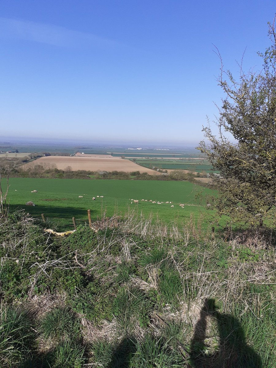 Perfect Easter day walk on Navenby Cliff edge, my favourite place