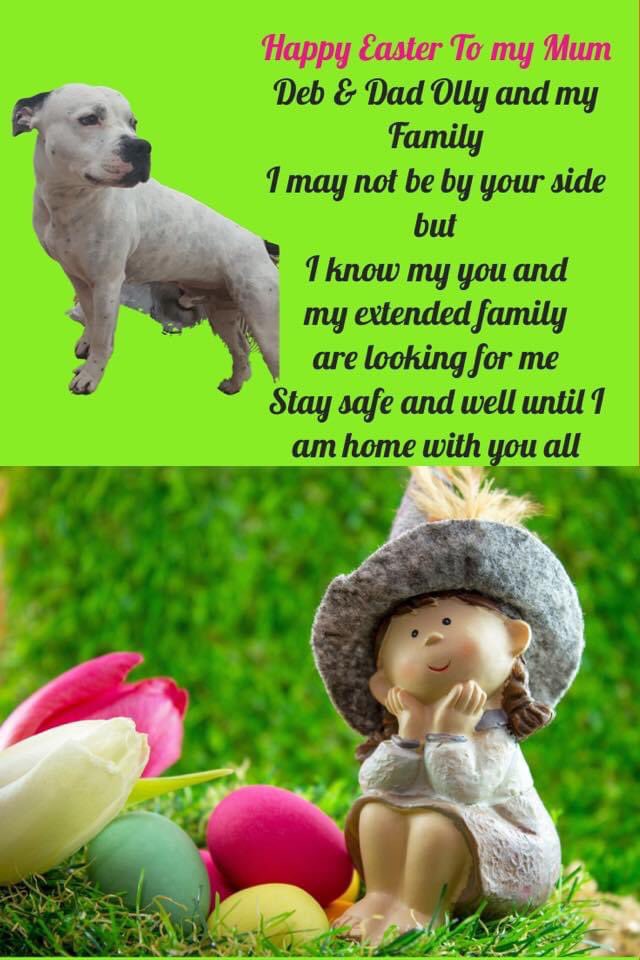 Find_Kemo's tweet photo. Thank you @KarenFi51820768 and all my friends on Twitter for never failing to support in all these 3 years since we have been looking for #Kemo and that you Karen for our #Easter message on behalf of our boy can’t wait until he can give me kisses 😘 #FindKemo https://t.co/buUGYfWwJI