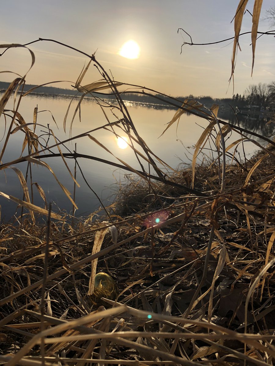 tpfeif4's tweet image. Beautiful morning hiding eggs #HappyEaster #HeHasRisen