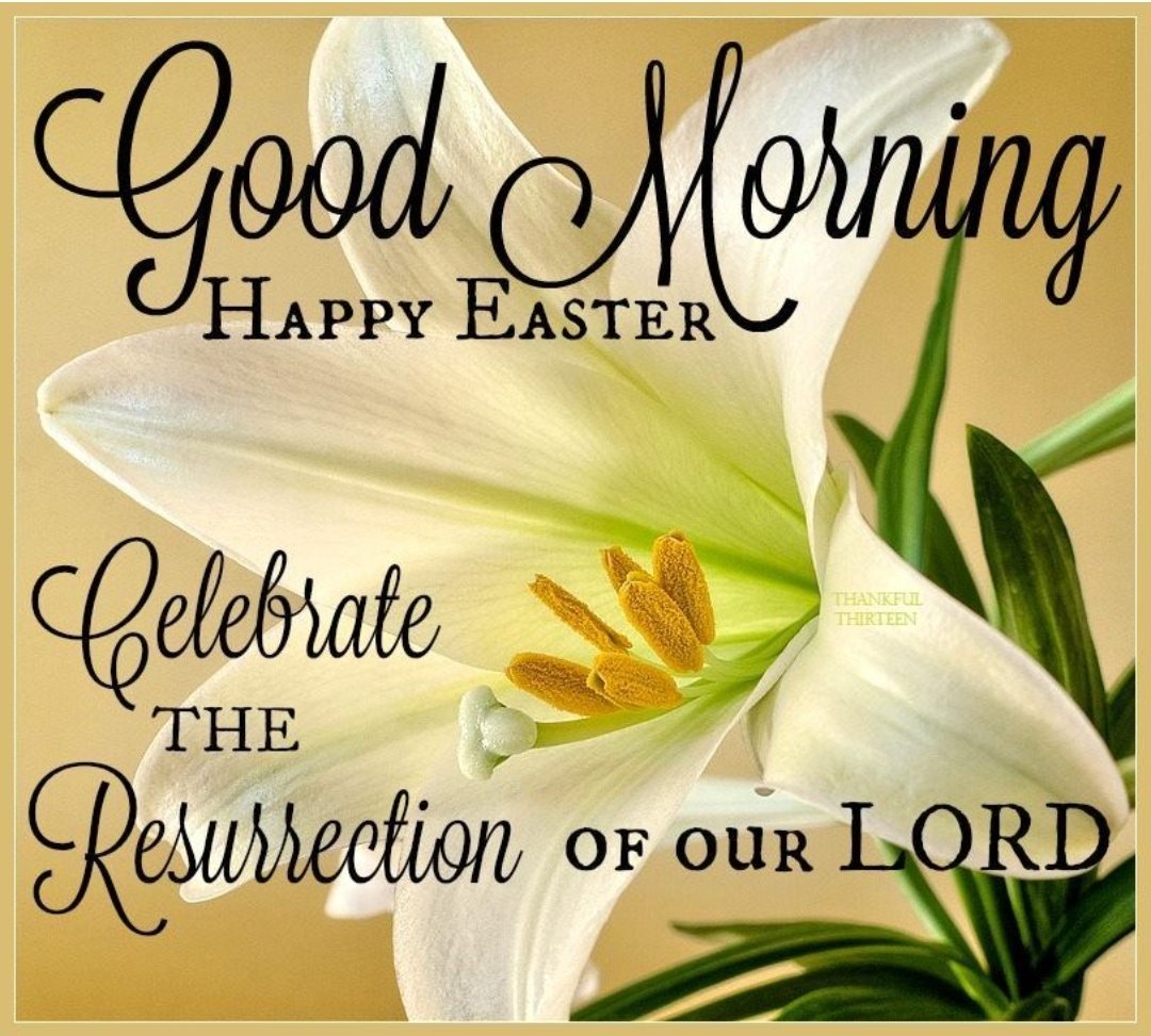 Tennessee Federation of Republican Women (@tnfrw) on Twitter photo 