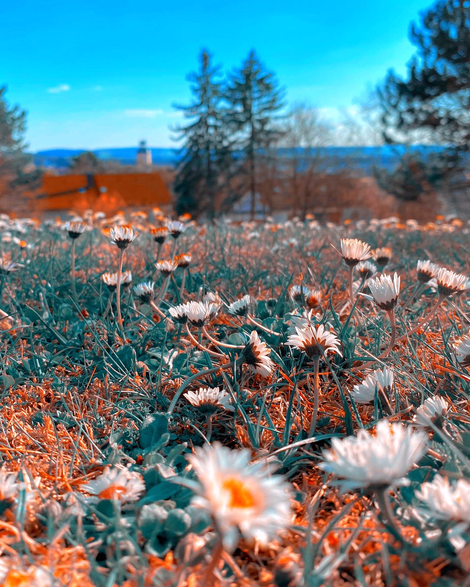 George Hurd tweet media