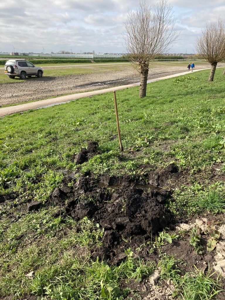 hhsenk's tweet photo. Niet de Paashaas 🐰 maar mollen of ratten zijn iets te enthousiast aan het graven geweest in een dijk aan de Bleiswijkse Zoom. Een wandelaar ontdekte daar eerder vanmiddag een lekkage 💦 De #dijk is zondagavond weer gerepareerd 💪 #waterwerk #Pasen https://t.co/0S0Ozbi9SU