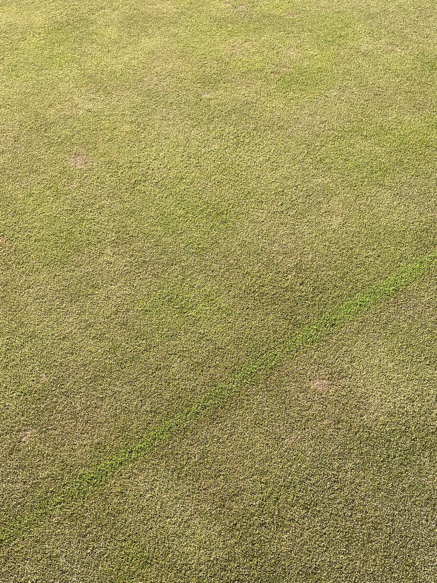 Sask Landing Golf tweet media