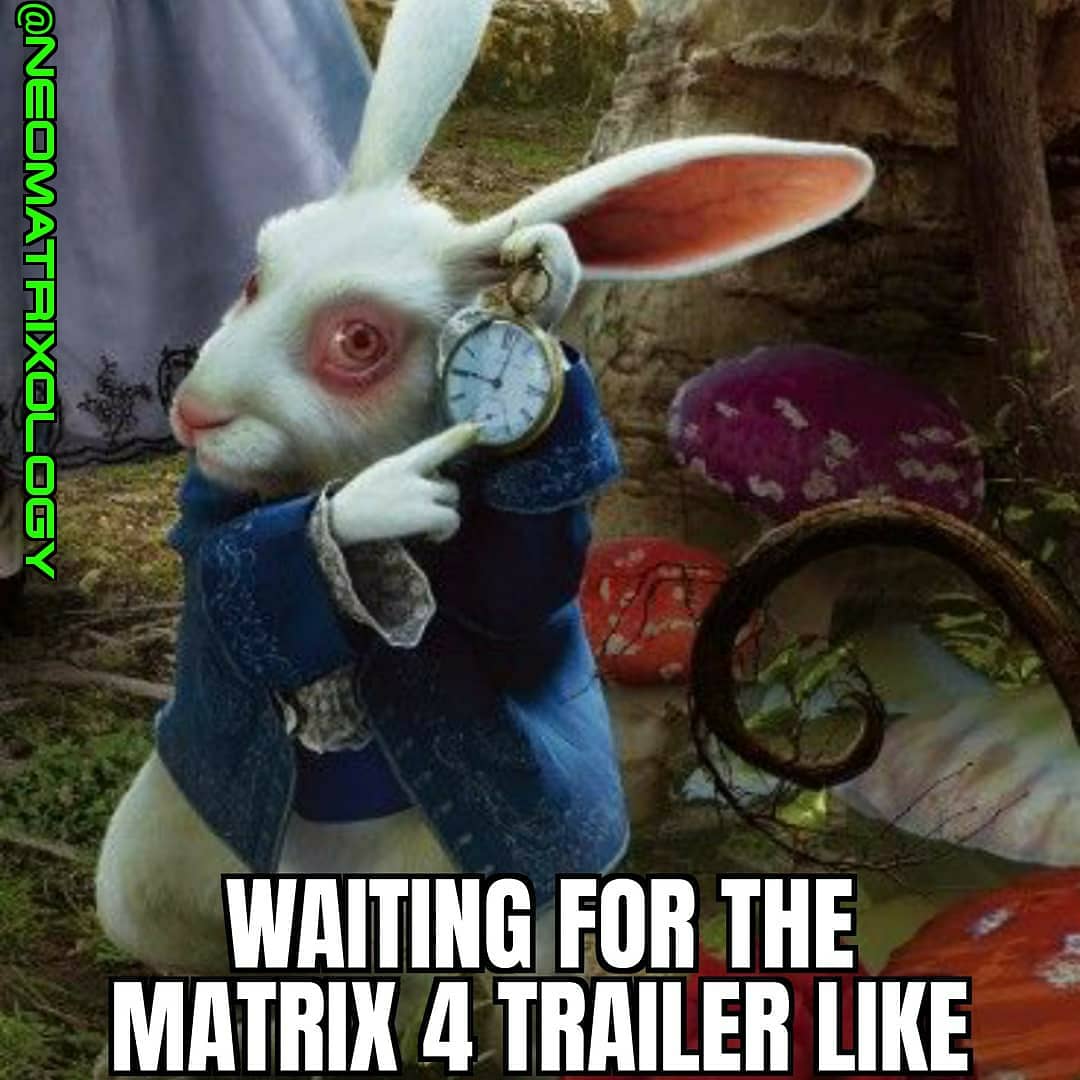 NeoMatrixology's tweet photo. Happy Easter! 🐇🥚🐰

#MATRIX4 #HappyEaster #MatrixResurrections #FollowTheWhiteRabbit #AliceInWonderLand #NightofTheLepus #MatrixMemes #TheMatrix #WhiteRabbit #Matrix #Matrix4Trailer #EasterBunny #RabbitMemes #Easter #RabbitHole #MatrixUniversity #NeoMatrixology #Easter2021 https://t.co/BrIKamXBqG