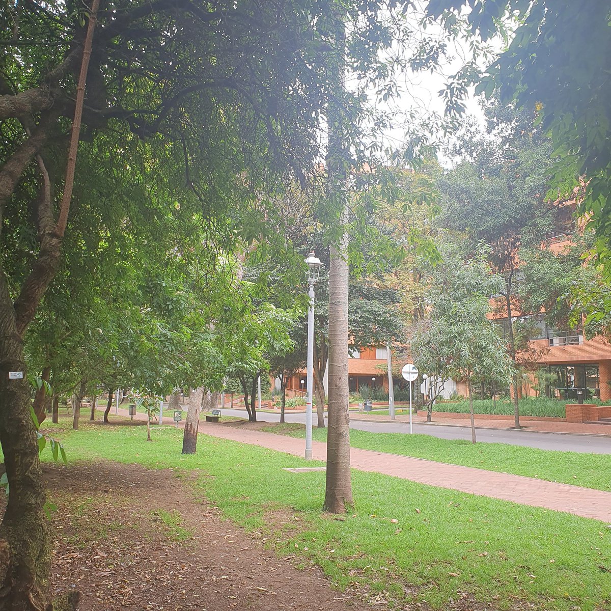 Bogotá, hermosa cuando callas