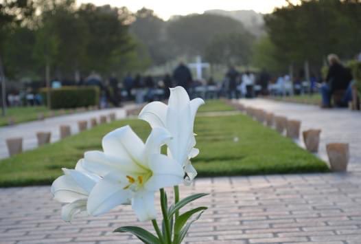 Easter is a time to come together and celebrate new beginnings. We hope you have a wonderful Easter Sunday with your loved ones!