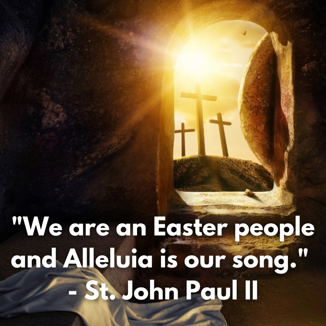 Seton LaSalle tweet media