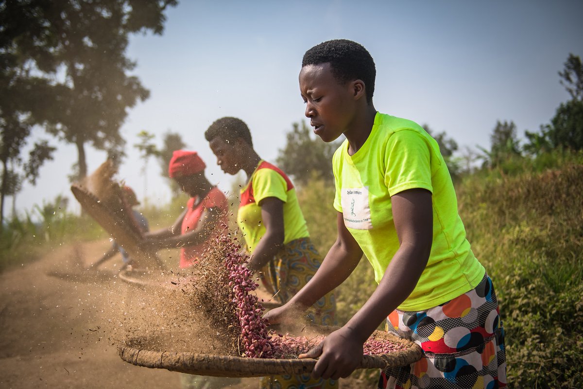 In Rwanda, #FeedtheFuture has worked with farmers, seed multipliers & government stakeholders to⬆️the production of high-iron beans. This photo from @CNFA, featuring cooperative members sorting these beans, placed in our 2021 photo contest! See more 
👉ow.ly/KlVd50EeiQe