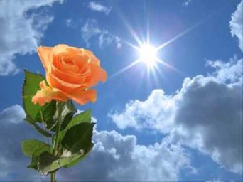 YamanAyse42's tweet image. ....🧑🏻‍🌾💕🍃🌼🦋🌸🍃📚✍️
          #Oysa.....!
 Hayatı  sonsuz sanıyoruz...
Bir Günlüğüne Kanadını 
Çırpan,👎
            🦋Kelebek Gibiyiz🦋

#Sağlıklı 
🌼Huzur Dolu Akşamlar🌼🍃