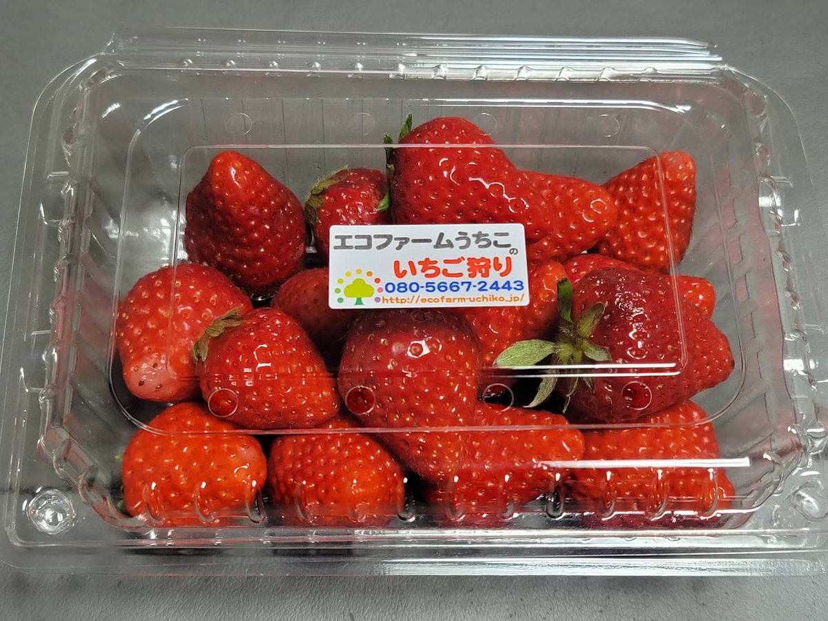 エコファームうちこ エコファームうちこ