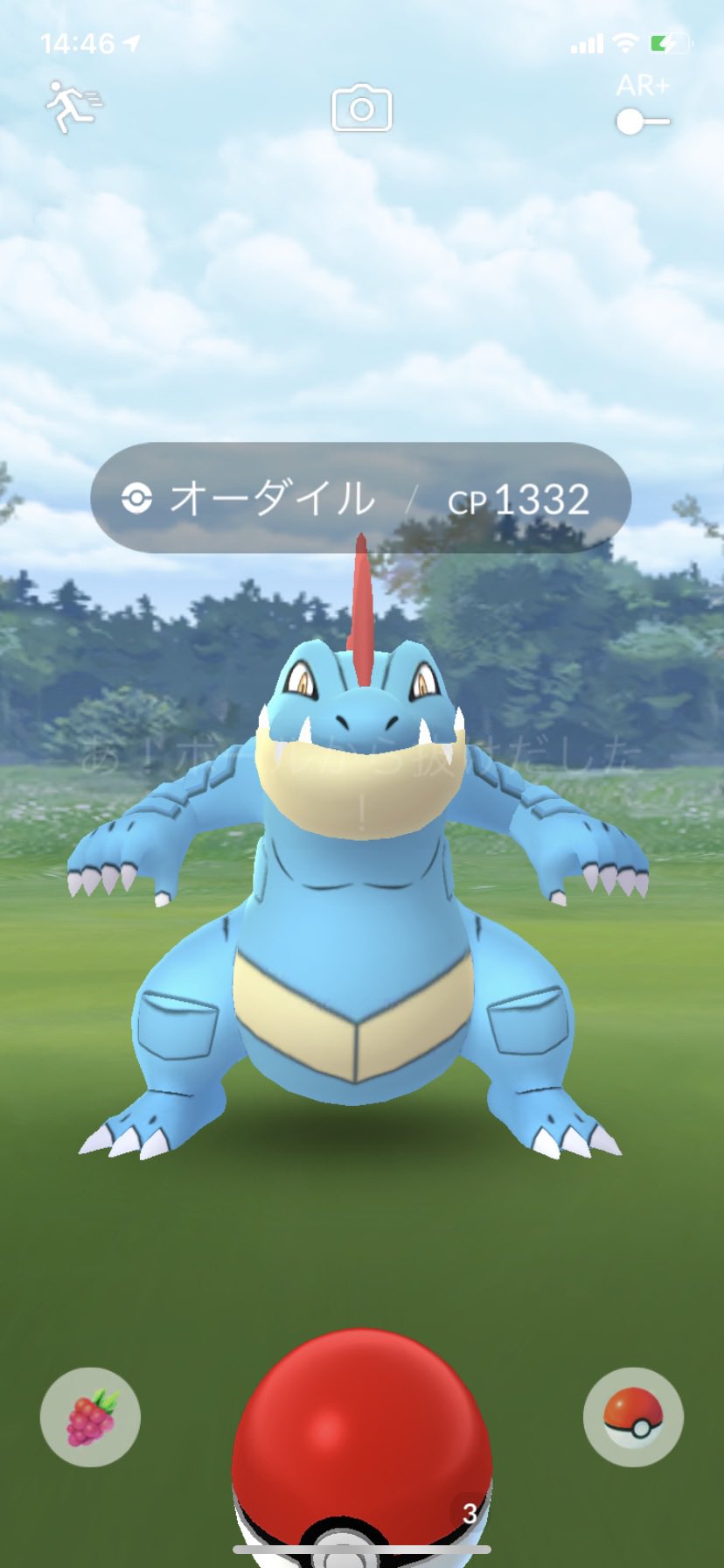 トモ V Twitter 野生のオーダイルは初めて笑 ポケモンgo オーダイル T Co W6wncdh2ve Twitter