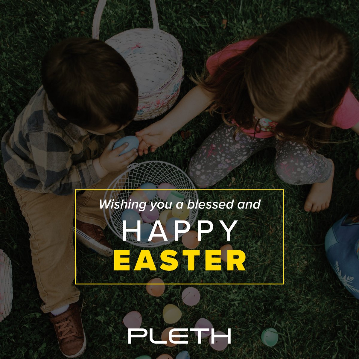 Pleth, LLC tweet media