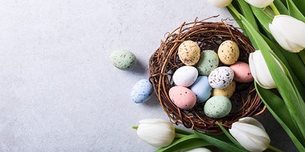 ChestnutHillSq's tweet photo. Happy Easter to all who celebrate! We hope you enjoy your day with family and friends. 🐣 https://t.co/wrAqeXbgdS