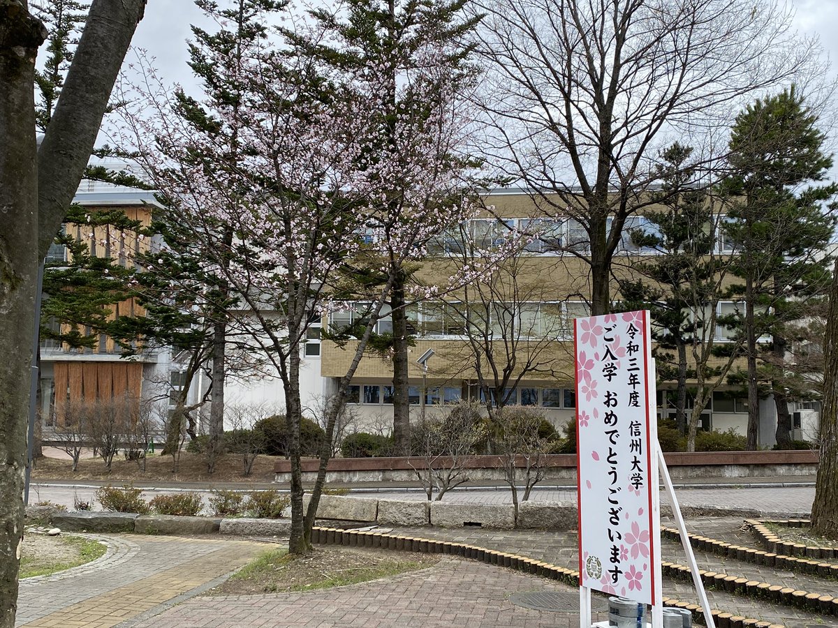 信州大学医学部水泳部 Shinshu Smswim2 Twitter