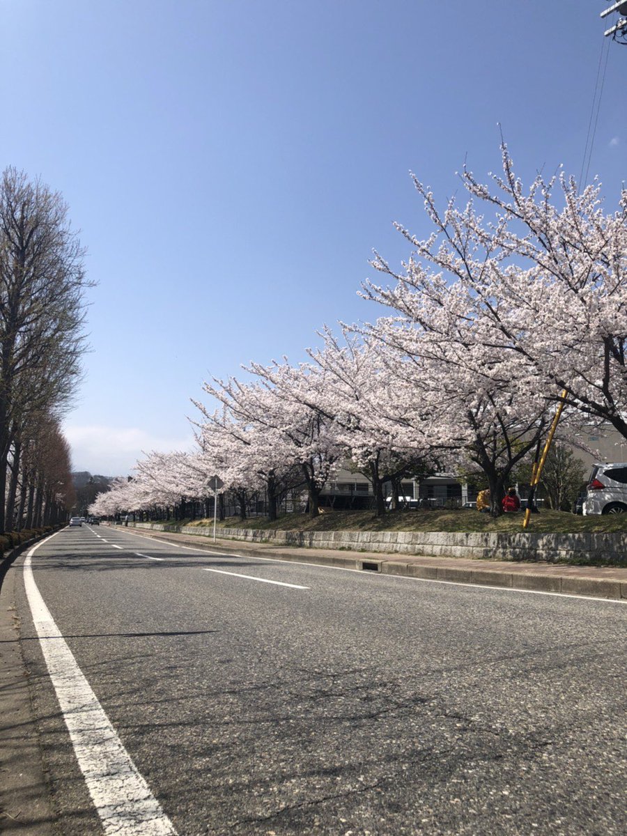 信州大学医学部水泳部 Shinshu Smswim2 Twitter